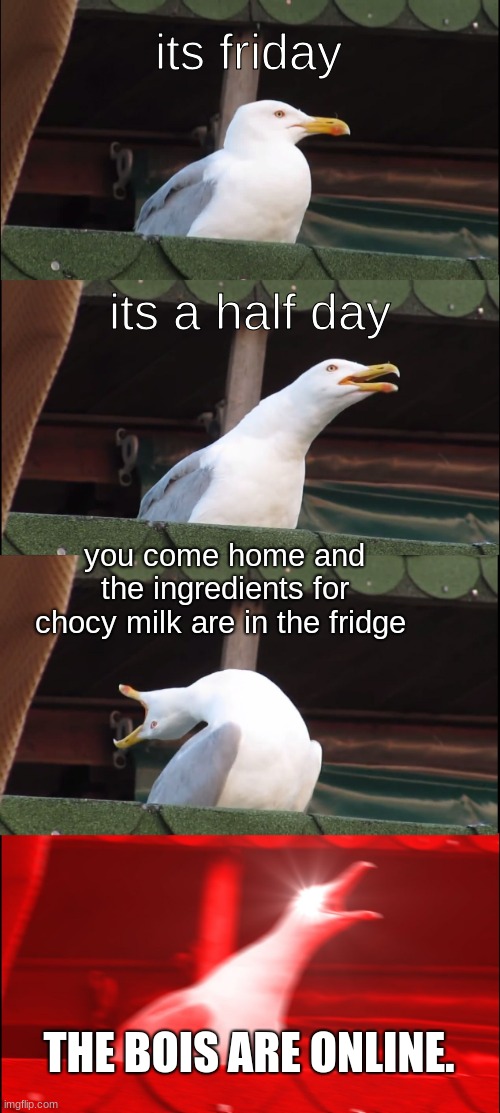 the day is today | its friday; its a half day; you come home and the ingredients for chocy milk are in the fridge; THE BOIS ARE ONLINE. | image tagged in memes,inhaling seagull | made w/ Imgflip meme maker