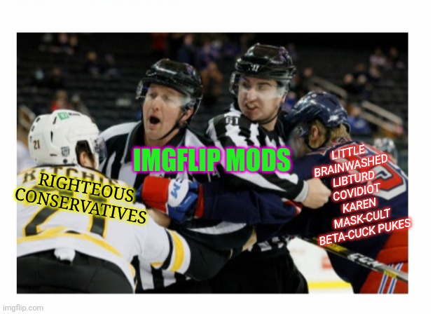 It's a tough job, but someone's gotta do it | LITTLE BRAINWASHED LIBTURD COVIDIOT KAREN MASK-CULT BETA-CUCK PUKES; IMGFLIP MODS; RIGHTEOUS CONSERVATIVES | image tagged in stupid liberals | made w/ Imgflip meme maker