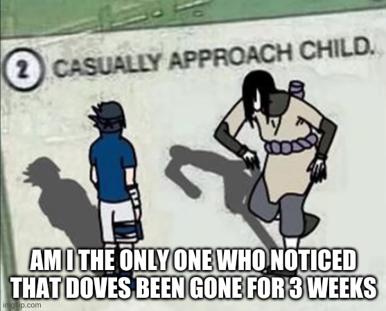 there may be a reason Idk tho | AM I THE ONLY ONE WHO NOTICED THAT DOVES BEEN GONE FOR 3 WEEKS | image tagged in naruto casually approach child | made w/ Imgflip meme maker