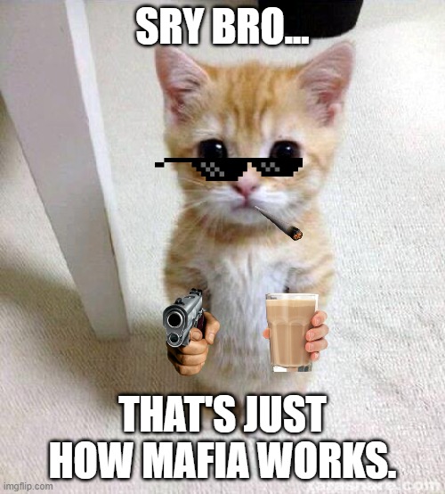 fluffy boi takes what is his | SRY BRO... THAT'S JUST HOW MAFIA WORKS. | image tagged in memes,cute cat | made w/ Imgflip meme maker