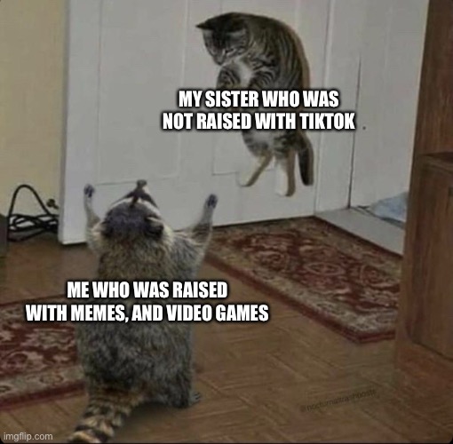 Raccoon powers | MY SISTER WHO WAS NOT RAISED WITH TIKTOK; ME WHO WAS RAISED WITH MEMES, AND VIDEO GAMES | image tagged in raccoon powers | made w/ Imgflip meme maker