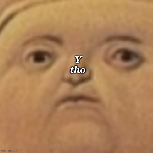 y tho | Y tho | image tagged in y tho | made w/ Imgflip meme maker