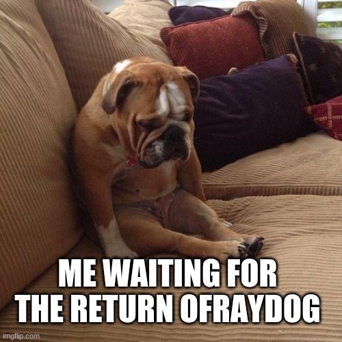 he gone | ME WAITING FOR THE RETURN OFRAYDOG | image tagged in sad dog | made w/ Imgflip meme maker