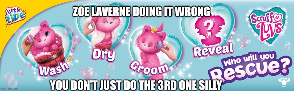? | ZOE LAVERNE DOING IT WRONG; YOU DON’T JUST DO THE 3RD ONE SILLY | image tagged in hashtag | made w/ Imgflip meme maker