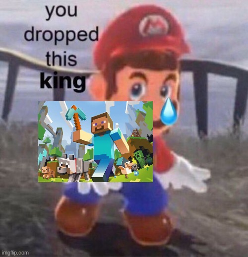 Mario you dropped this king | image tagged in mario you dropped this king | made w/ Imgflip meme maker