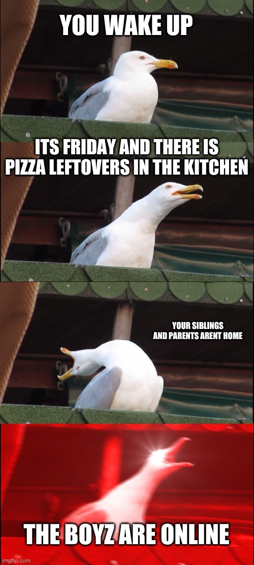 my dreams: | YOU WAKE UP; ITS FRIDAY AND THERE IS PIZZA LEFTOVERS IN THE KITCHEN; YOUR SIBLINGS AND PARENTS ARENT HOME; THE BOYZ ARE ONLINE | image tagged in memes,inhaling seagull | made w/ Imgflip meme maker
