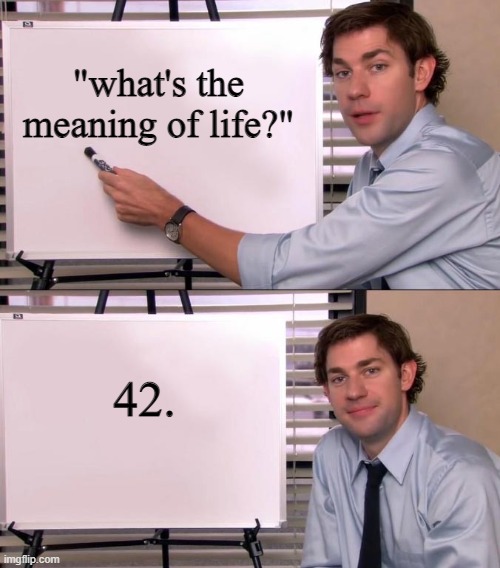 Jim is smart boyo | "what's the meaning of life?"; 42. | image tagged in jim halpert explains,smrt,funny meme | made w/ Imgflip meme maker
