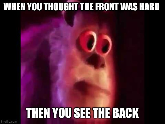 Sully Groan | WHEN YOU THOUGHT THE FRONT WAS HARD THEN YOU SEE THE BACK | image tagged in sully groan | made w/ Imgflip meme maker