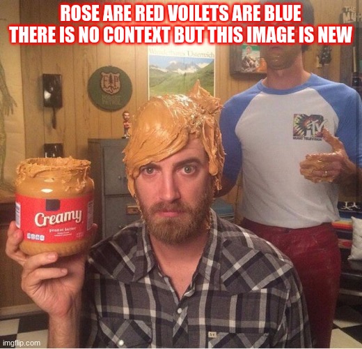 No Context | ROSE ARE RED VOILETS ARE BLUE THERE IS NO CONTEXT BUT THIS IMAGE IS NEW | image tagged in lol,funny | made w/ Imgflip meme maker