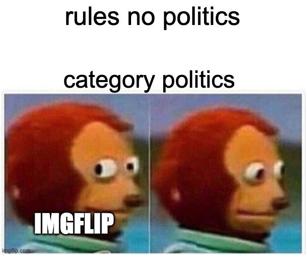 Monkey Puppet | rules no politics; category politics; IMGFLIP | image tagged in memes,monkey puppet | made w/ Imgflip meme maker