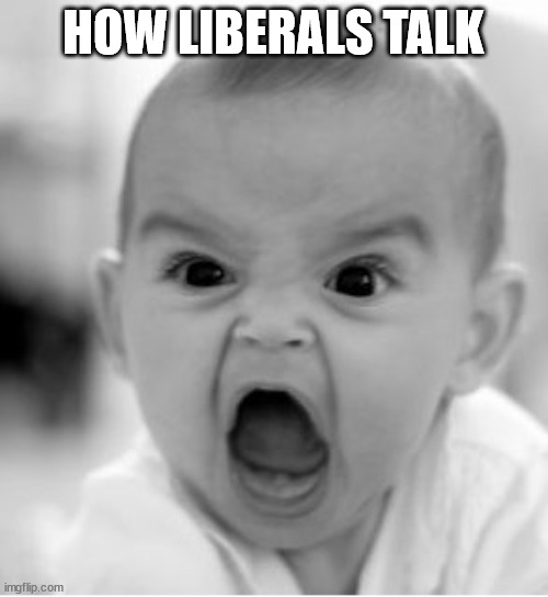 screaming baby | HOW LIBERALS TALK | image tagged in screaming baby | made w/ Imgflip meme maker