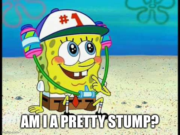 AM I A PRETTY STUMP? | made w/ Imgflip meme maker