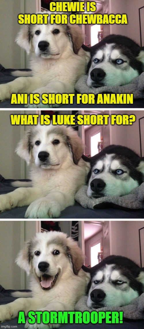 Dog jokes | CHEWIE IS SHORT FOR CHEWBACCA; ANI IS SHORT FOR ANAKIN; WHAT IS LUKE SHORT FOR? A STORMTROOPER! | image tagged in dog jokes,star wars,anakin skywalker,luke skywalker,chewbacca,stormtrooper | made w/ Imgflip meme maker