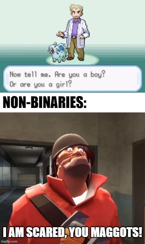 Might as well play RED, BLUE, GREEN or YELLOW Pokémon! | NON-BINARIES:; I AM SCARED, YOU MAGGOTS! | image tagged in i am scared you maggots,pokemon,gender,non binary,gaymer | made w/ Imgflip meme maker