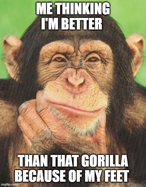 chimpanzee thinking | ME THINKING I'M BETTER; THAN THAT GORILLA BECAUSE OF MY FEET | image tagged in chimpanzee thinking | made w/ Imgflip meme maker