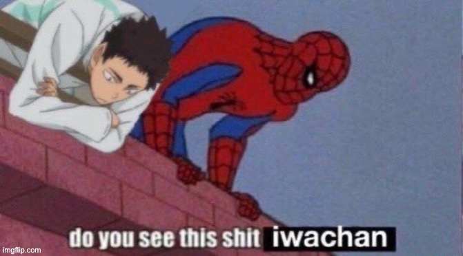 Do you see this shit IwaChan | image tagged in do you see this shit iwachan | made w/ Imgflip meme maker