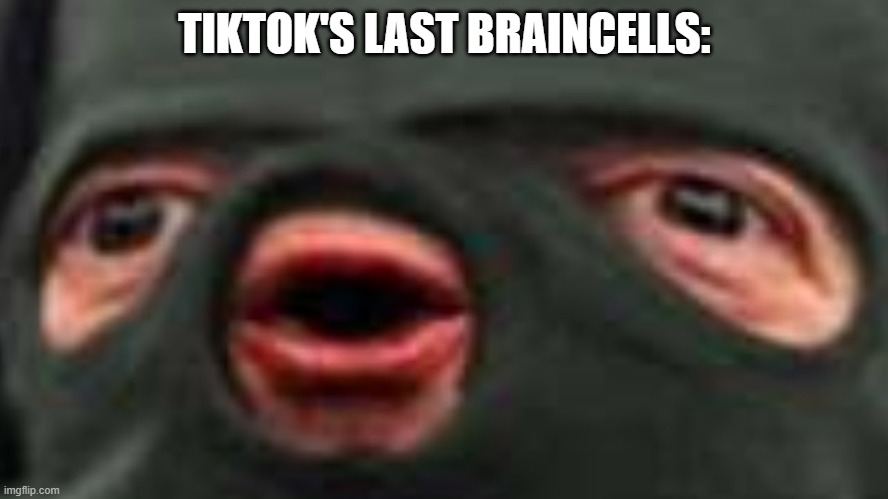 they do not have any tho | TIKTOK'S LAST BRAINCELLS: | image tagged in oof | made w/ Imgflip meme maker