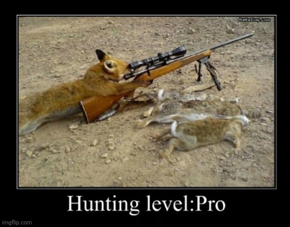 image tagged in lol | made w/ Imgflip meme maker