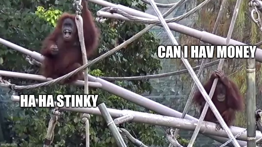 CAN I HAV MONEY; HA HA STINKY | made w/ Imgflip meme maker