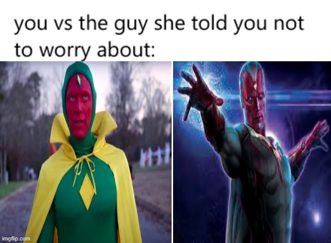 lol | image tagged in vision,wandavision,you vs the guy she tells you not to worry about | made w/ Imgflip meme maker