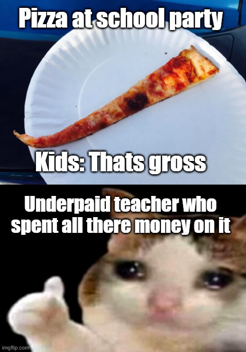 F | Pizza at school party; Kids: Thats gross; Underpaid teacher who spent all there money on it | image tagged in sad cat thumbs up | made w/ Imgflip meme maker