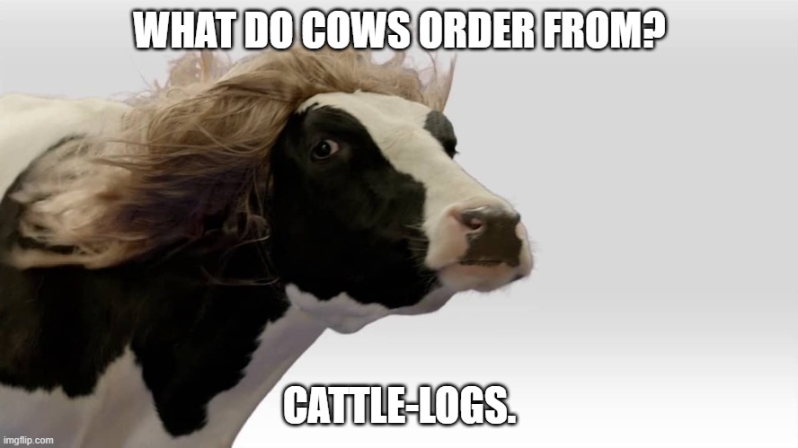 Daily Bad Dad Joke March 5 2021 | WHAT DO COWS ORDER FROM? CATTLE-LOGS. | image tagged in fabio cow | made w/ Imgflip meme maker