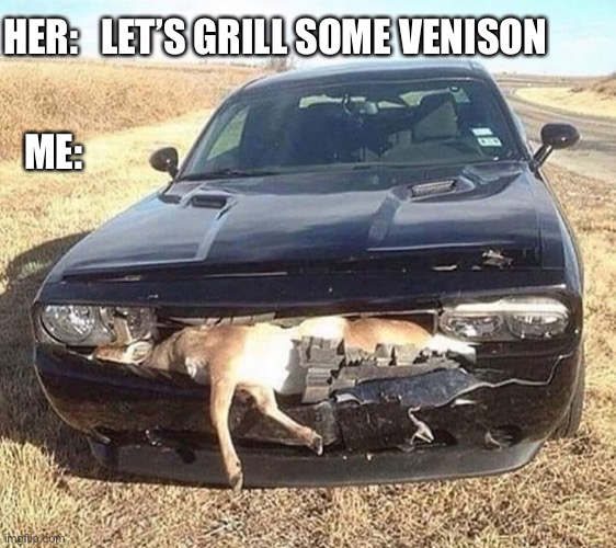 Grilled Venison | HER:   LET’S GRILL SOME VENISON; ME: | image tagged in grill,deer | made w/ Imgflip meme maker