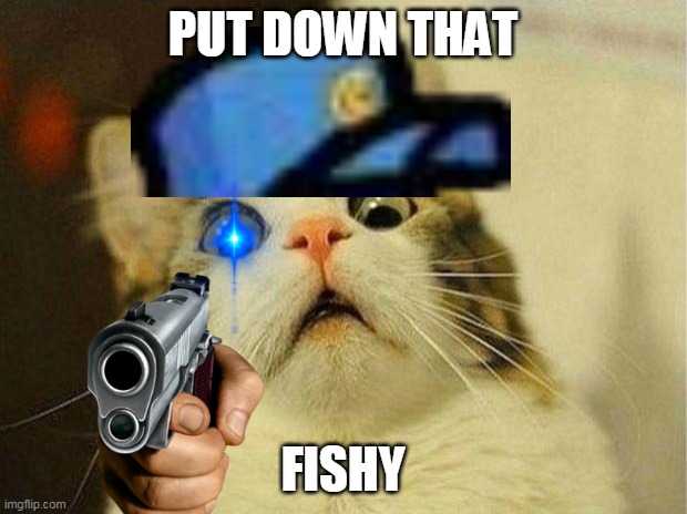 its the popo cat | PUT DOWN THAT; FISHY | image tagged in memes,scared cat | made w/ Imgflip meme maker