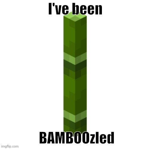 I've been BAMBOOzled | image tagged in i've been bamboozled | made w/ Imgflip meme maker