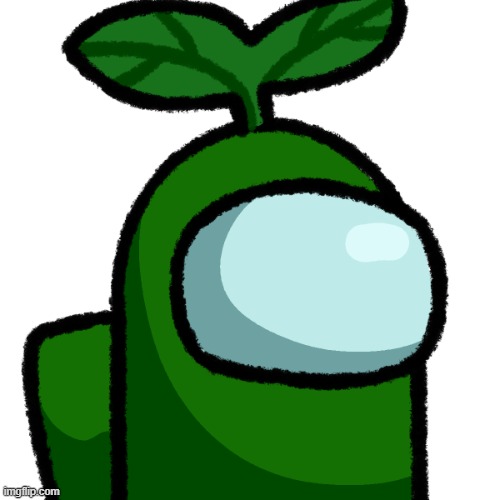 Transparent Plant | image tagged in transparent plant | made w/ Imgflip meme maker