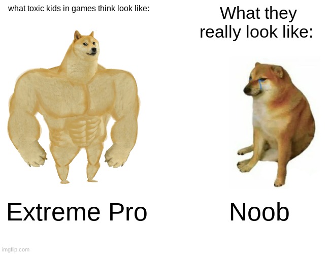 Toxic kids be like: | what toxic kids in games think look like:; What they really look like:; Extreme Pro; Noob | image tagged in memes,buff doge vs cheems,gamer,toxic,kids | made w/ Imgflip meme maker