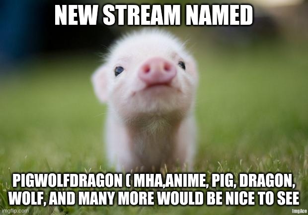meh new stream | NEW STREAM NAMED; PIGWOLFDRAGON ( MHA,ANIME, PIG, DRAGON, WOLF, AND MANY MORE WOULD BE NICE TO SEE | image tagged in piglet | made w/ Imgflip meme maker