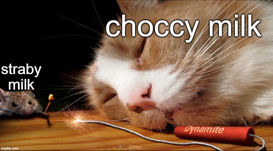 Mouse exploding a cat | choccy milk; straby milk | image tagged in mouse exploding a cat | made w/ Imgflip meme maker