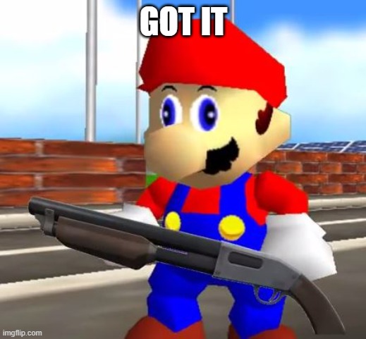 SMG4 Shotgun Mario | GOT IT | image tagged in smg4 shotgun mario | made w/ Imgflip meme maker