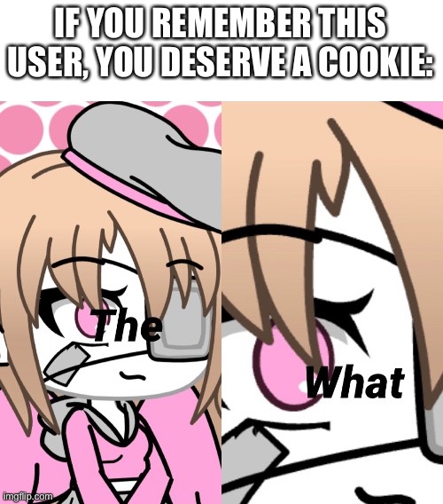 EEEAAAOOO | IF YOU REMEMBER THIS USER, YOU DESERVE A COOKIE: | made w/ Imgflip meme maker