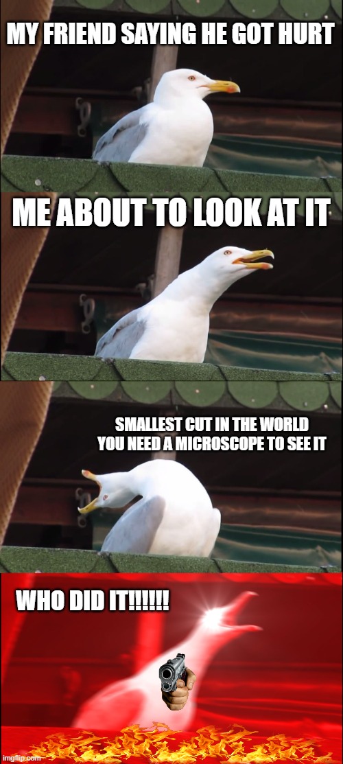 Inhaling Seagull Meme | MY FRIEND SAYING HE GOT HURT; ME ABOUT TO LOOK AT IT; SMALLEST CUT IN THE WORLD YOU NEED A MICROSCOPE TO SEE IT; WHO DID IT!!!!!! | image tagged in memes,inhaling seagull,hurt | made w/ Imgflip meme maker