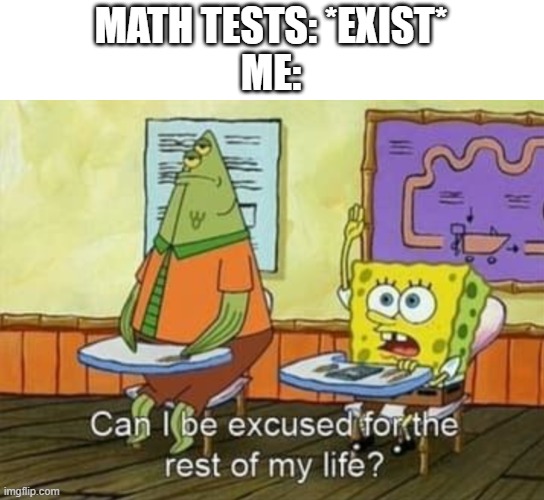 Can I be excused for the rest of my life? | MATH TESTS: *EXIST*
ME: | image tagged in can i be excused for the rest of my life,gifs,pie charts,funny,ha ha tags go brr | made w/ Imgflip meme maker