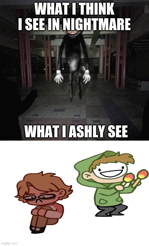 Cartoon cat | WHAT I THINK I SEE IN NIGHTMARE; WHAT I ASHLY SEE | image tagged in cartoon cat | made w/ Imgflip meme maker