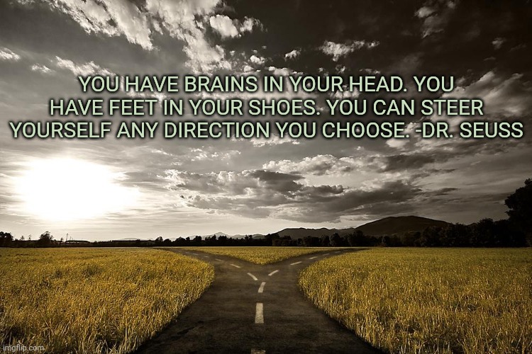 YOU HAVE BRAINS IN YOUR HEAD. YOU HAVE FEET IN YOUR SHOES. YOU CAN STEER YOURSELF ANY DIRECTION YOU CHOOSE. -DR. SEUSS | image tagged in affirmation | made w/ Imgflip meme maker
