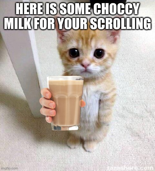 Cute Cat | HERE IS SOME CHOCCY MILK FOR YOUR SCROLLING | image tagged in memes,cute cat,choccy milk,have some choccy milk | made w/ Imgflip meme maker