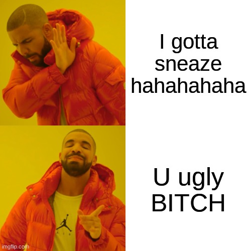 Drake Hotline Bling | I gotta sneaze hahahahaha; U ugly BITCH | image tagged in memes,drake hotline bling | made w/ Imgflip meme maker
