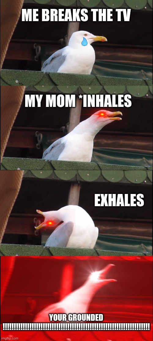 Inhaling Seagull Meme | ME BREAKS THE TV; MY MOM *INHALES; EXHALES; YOUR GROUNDED !!!!!!!!!!!!!!!!!!!!!!!!!!!!!!!!!!!!!!!!!!!!!!!!!!!!!!!!!!!!!!!!!! | image tagged in memes,inhaling seagull | made w/ Imgflip meme maker