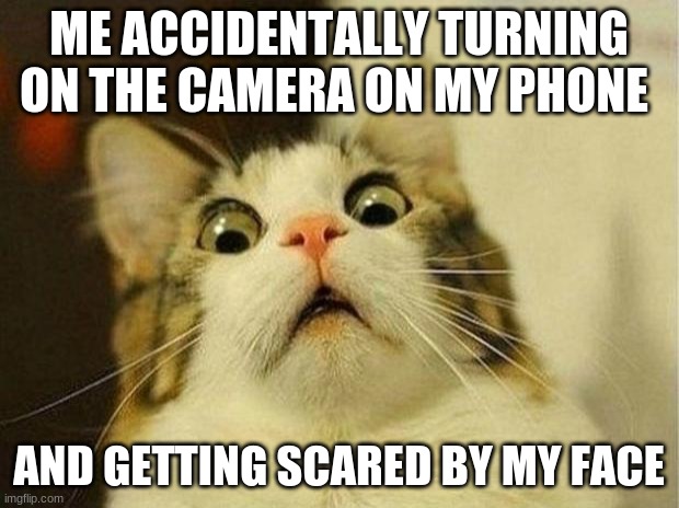 Scared Cat Meme | ME ACCIDENTALLY TURNING ON THE CAMERA ON MY PHONE; AND GETTING SCARED BY MY FACE | image tagged in memes,scared cat | made w/ Imgflip meme maker