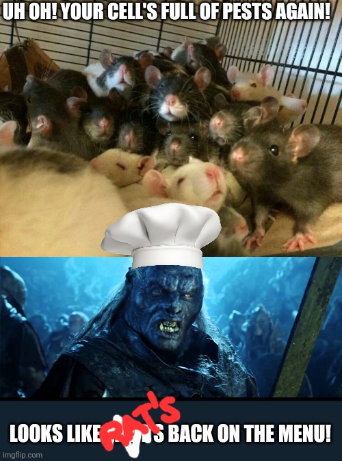 Prison food! | UH OH! YOUR CELL'S FULL OF PESTS AGAIN! LOOKS LIKE MEAT'S BACK ON THE MENU! | image tagged in looks like meat's back on the menu boys,prison,food,rats | made w/ Imgflip meme maker