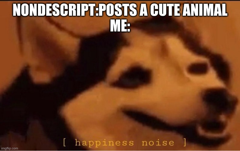 happines noise | NONDESCRIPT:POSTS A CUTE ANIMAL
ME: | image tagged in happines noise | made w/ Imgflip meme maker
