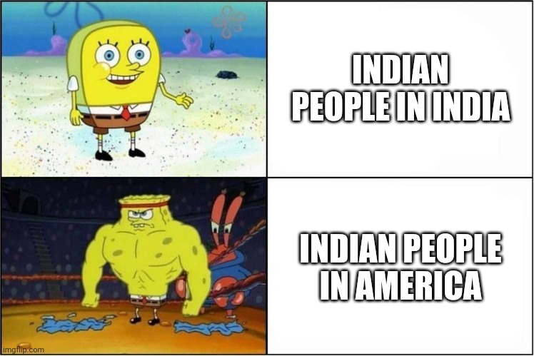 Joe says so | INDIAN PEOPLE IN INDIA; INDIAN PEOPLE IN AMERICA | image tagged in weak vs strong spongebob | made w/ Imgflip meme maker