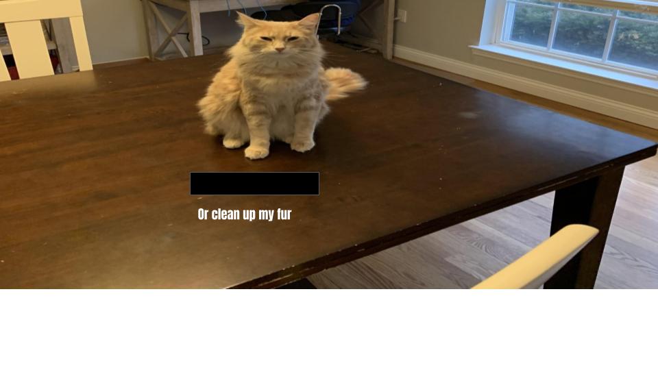 clean my fur (blank) Blank Meme Template