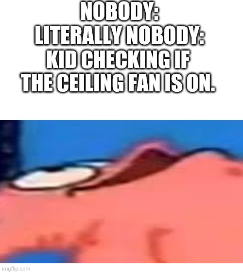 NOBODY:
LITERALLY NOBODY:; KID CHECKING IF THE CEILING FAN IS ON. | image tagged in blank white template | made w/ Imgflip meme maker