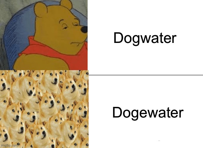 Literally dogewater | Dogwater; Dogewater | image tagged in doge | made w/ Imgflip meme maker