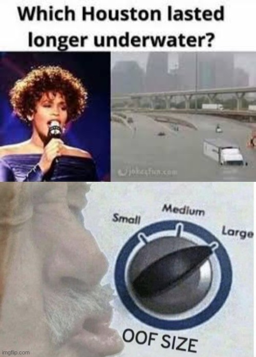 image tagged in oof size large | made w/ Imgflip meme maker